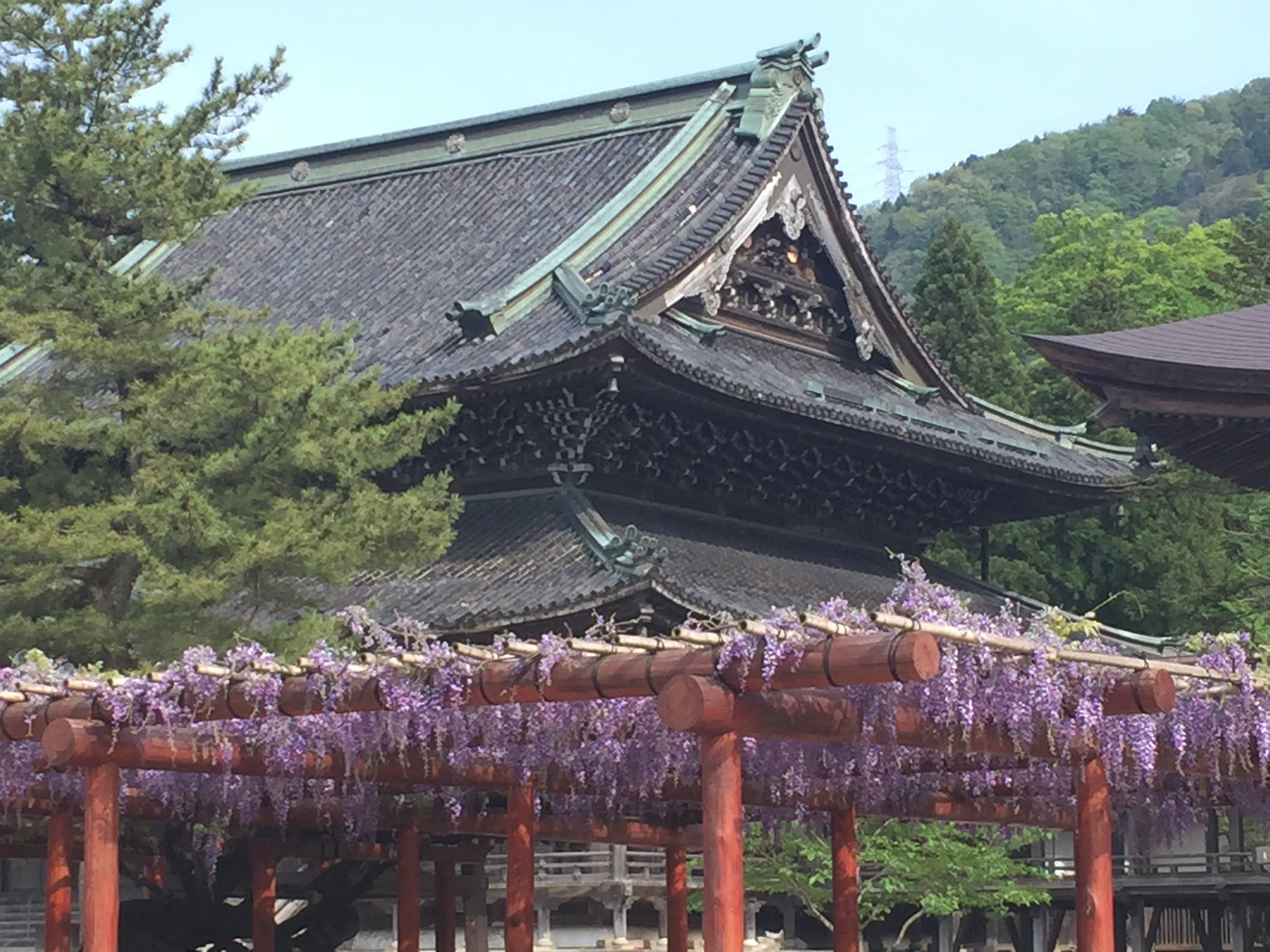 🛕 이나미 별원 즈이센지(이나미베쓰인 즈이센지) 이미지 7